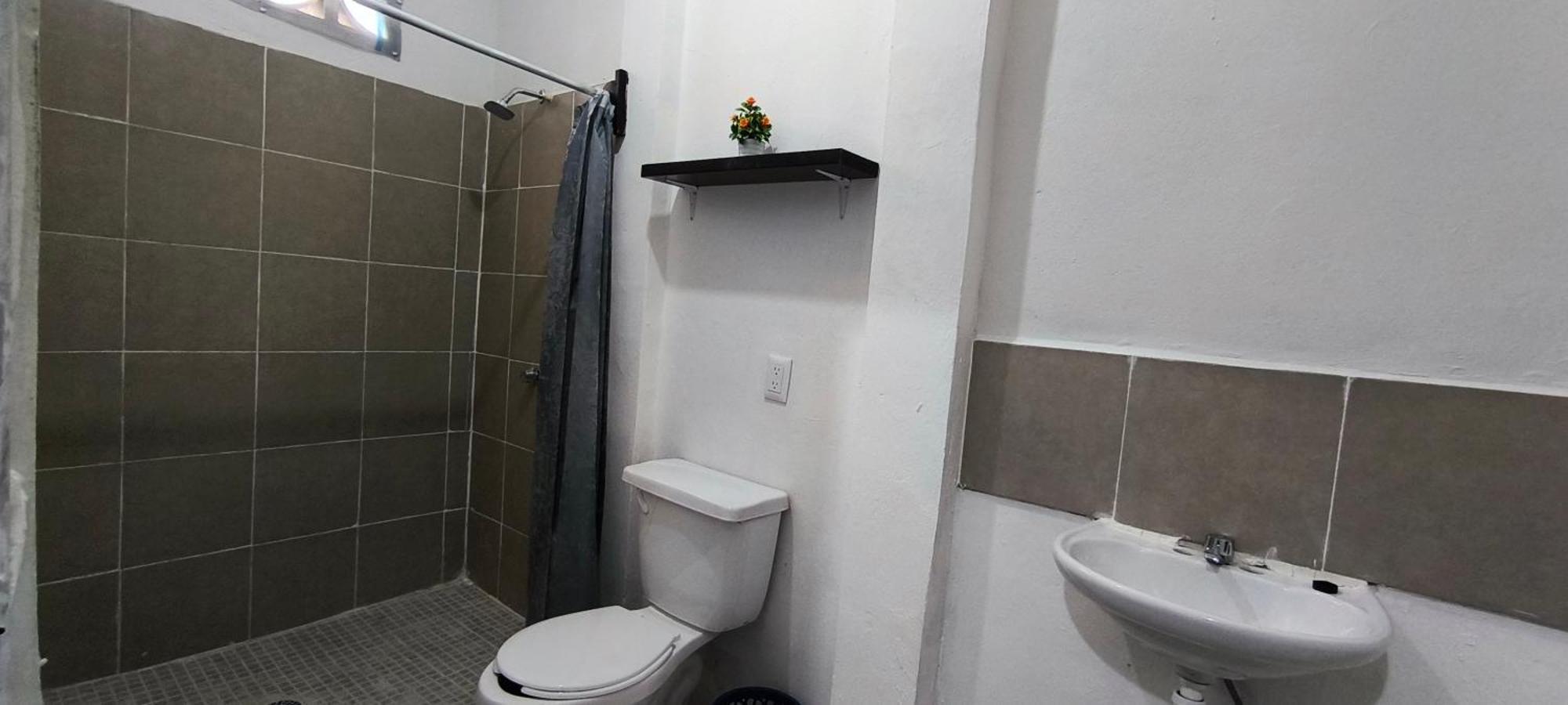 Hotel Casa Luna 팔렝케 외부 사진